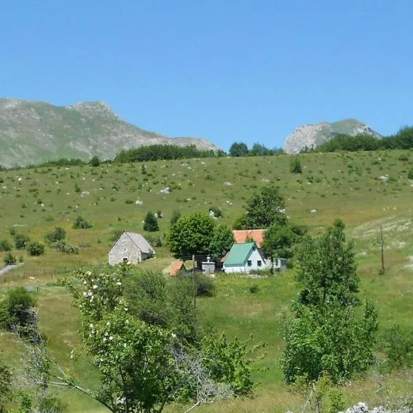 Suri, hotell i Plužine