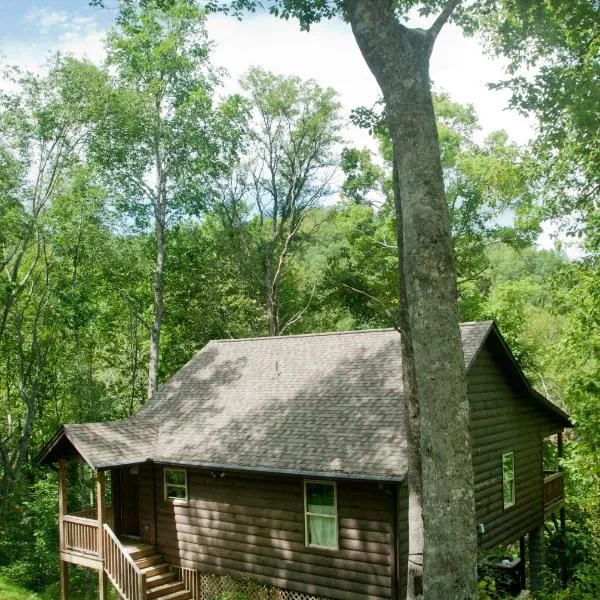 The Sassafras Breeze, hotel en Nantahala