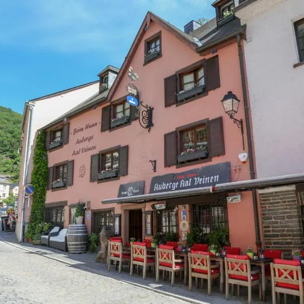 Auberge Aal Veinen, hotel en Vianden