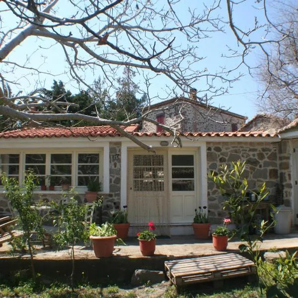 Arcadia Eressos, hotel v destinaci Eresós