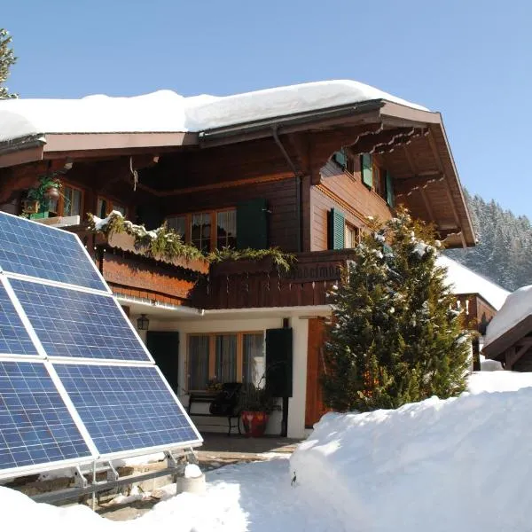 Apartment Nadeschda, hotel v destinaci Adelboden