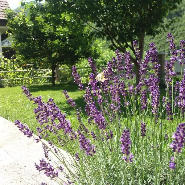 Kuća Lavanda, hôtel à Drežnjak