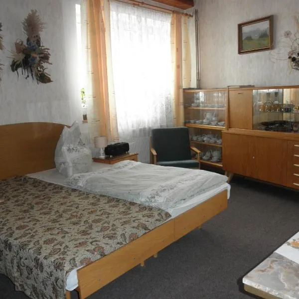 Pension U Kaktusu, hotel v destinaci Karlovy Vary