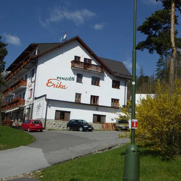 Erika penzión, hotel em Vysoke Tatry - Tatranska Lesna
