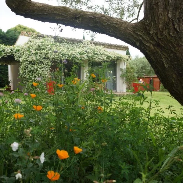 Studio au coeur de la petite camargue, hotel in Beauvoisin
