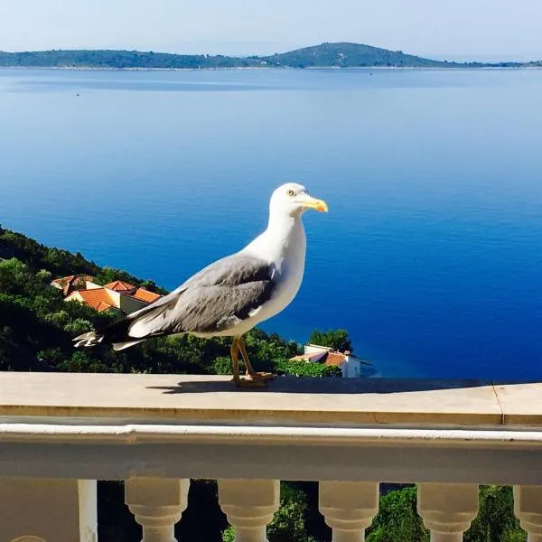 Apartments Jasmina, hotel v destinaci Vinišće