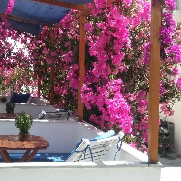 Doron Hotel Delfini, hotel en Naxos