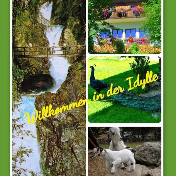Apartment zum Wasserfall, hotel en Krakaudorf