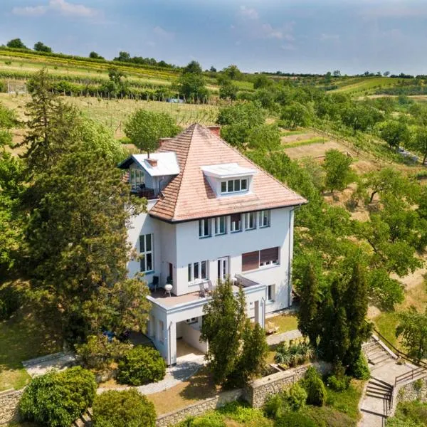 Nosislav Apartments, hotel in Rajhrad