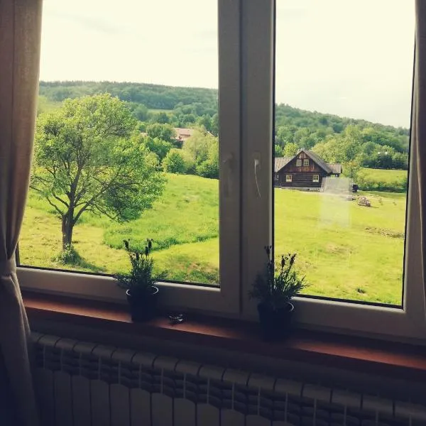 Pokoje goscinne u Olguni, hotel in Lęki Dukielskie