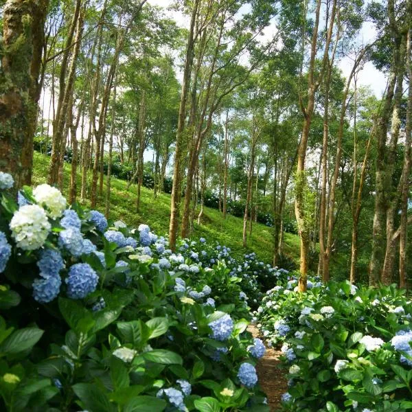 Qingshan Homestay, hotel v destinaci Taimali