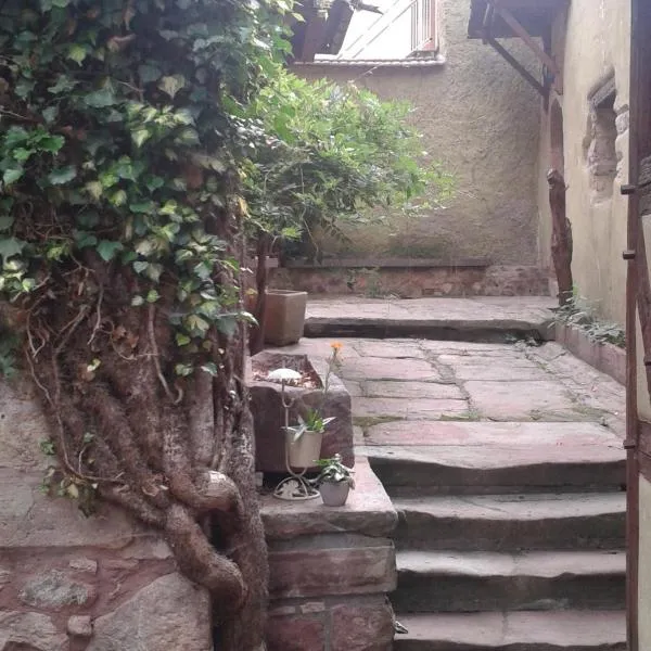 Les Apparts du Gewur'z, hotel in Bergheim