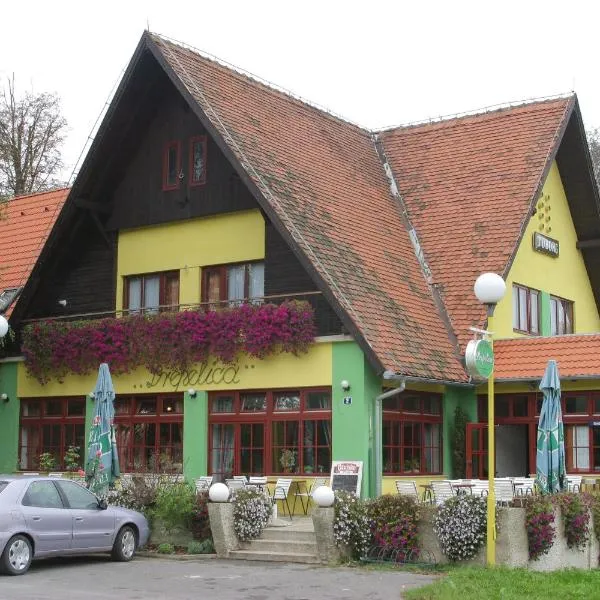 Guest House Prepelica, hotel in Ludbreg