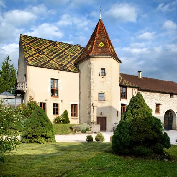 L'Hote Antique - MAISON D'HOTE- 4 Suites avec cuisine, hôtel à Is-sur-Tille