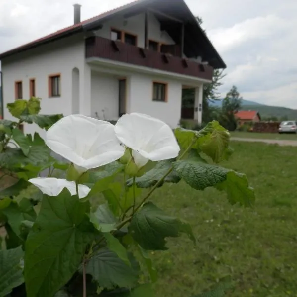 Viesnīca Guesthouse Matija pilsētā Irinovac