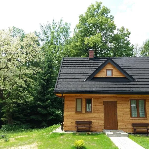 U Eskulapa Bieszczady, hotel in Lutowiska