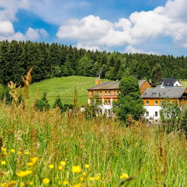 Landhaus Bergidyll, hotel in Bärenstein
