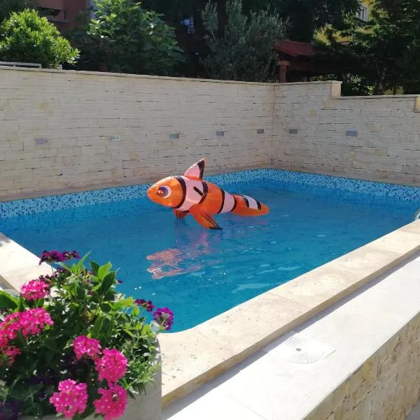 Apartment Goran, hotel in Senj