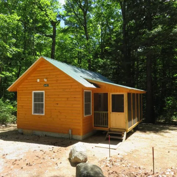 Okie Dokie Cabins, hotel Center Ossipee-ben