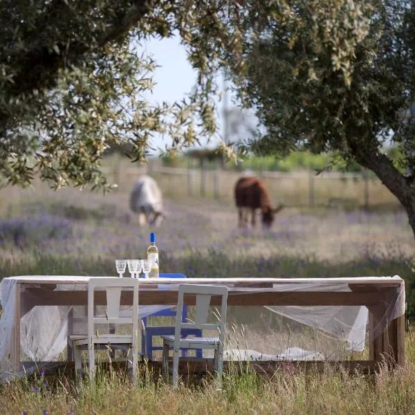 Quinta dos doze Sobreiros - Quarto Sol, hotel in Ferreira do Alentejo