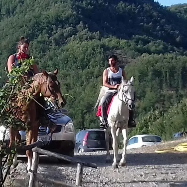 Le Chianine dei Tognoli, hotel v mestu Gragnola