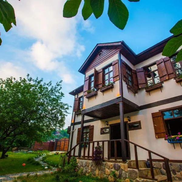 Şamlıoğlu Historical Villa, готель у місті Kurucam