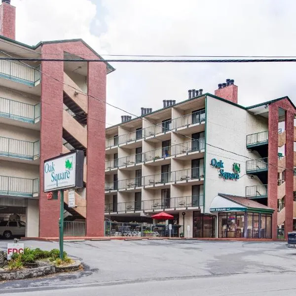 Oak Square Rentals、ガトリンバーグのホテル