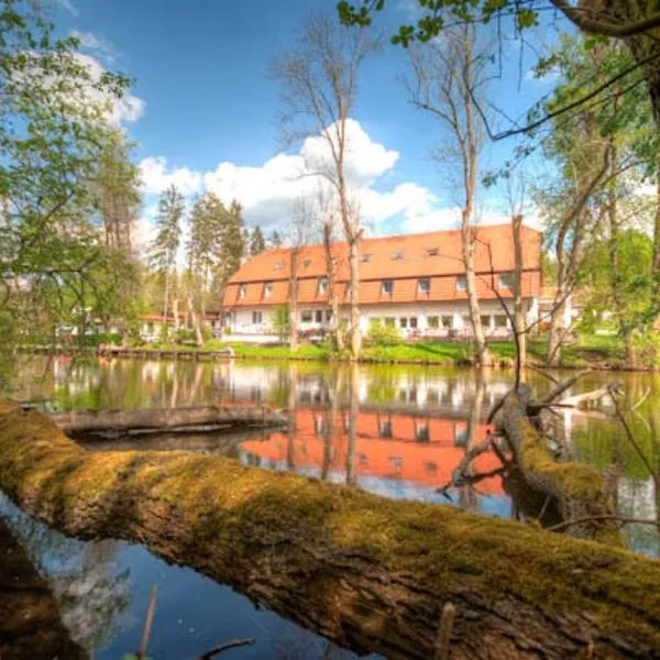 Kompleks Wypoczynkowo-Konferencyjny Mazur-Syrenka, hotel di Nowy Zyzdrój