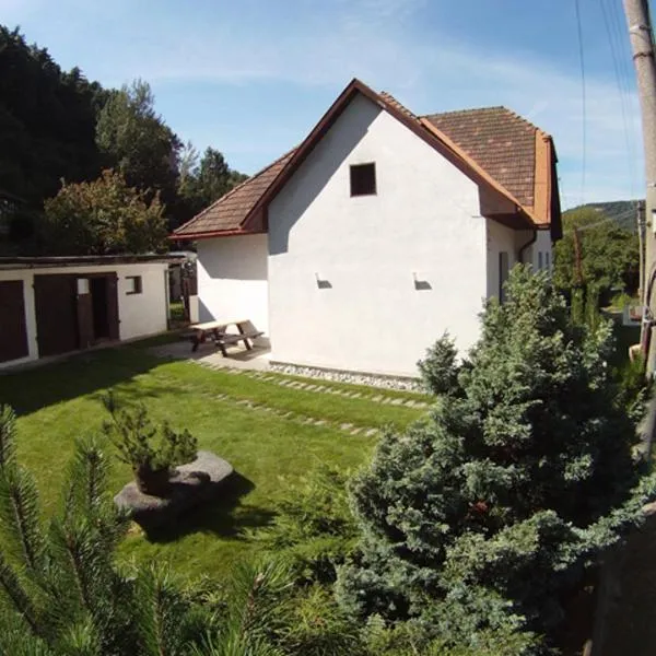 Penzion pod vejmutovym lesom, hotel in Dolný Turček