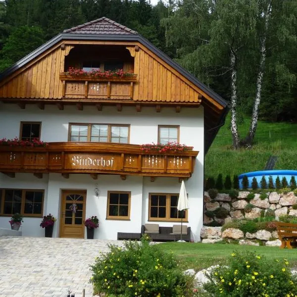 Binderhof, hotel in Lessach Oberdorf