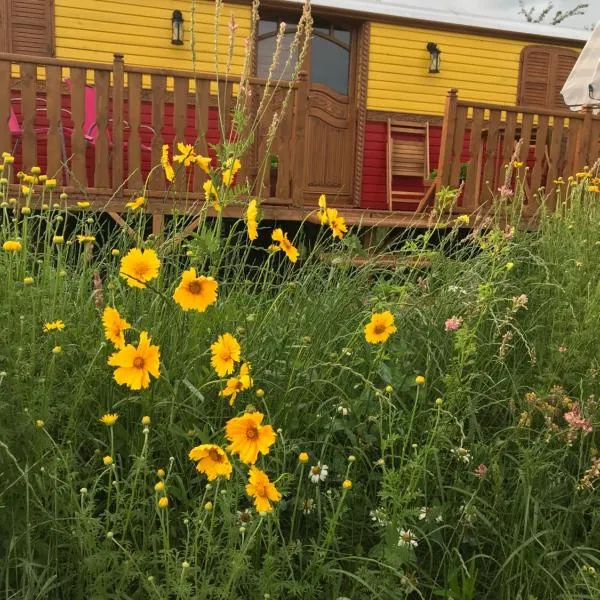 la roulotte de l'ami nature, hotel v destinaci Barrais-Bussolles