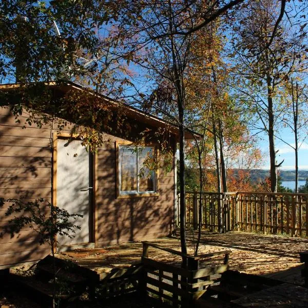 Cabañas Mas Ke Miel, hotel in Lago Ranco