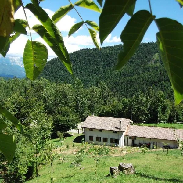 Bosco delle Rune ..un angolo di paradiso, hotell i Platischis