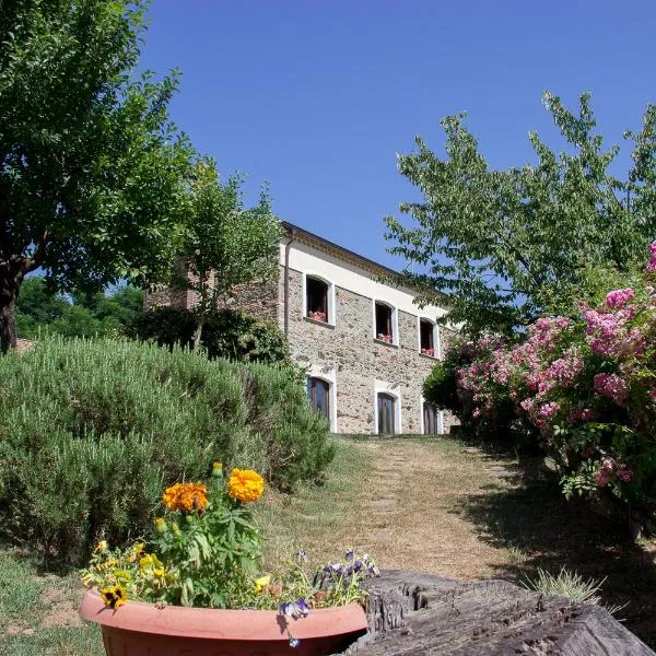 La Rosa Nel Bicchiere, hotel en Motta Santa Lucia