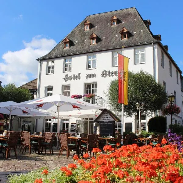 Hotel Zum Stern, hotel v destinaci Bad Neuenahr-Ahrweiler