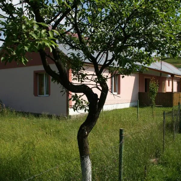 Котедж Ялівець, hotel v destinaci Koločava