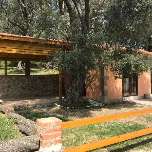 Olive Paradise, hotel v destinaci Ulcinj