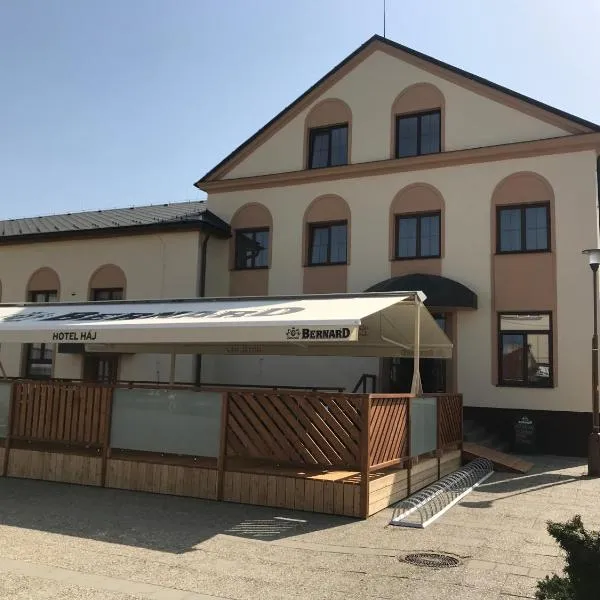 Hotel pod Hůrkou, hotel v destinaci Háj ve Slezsku