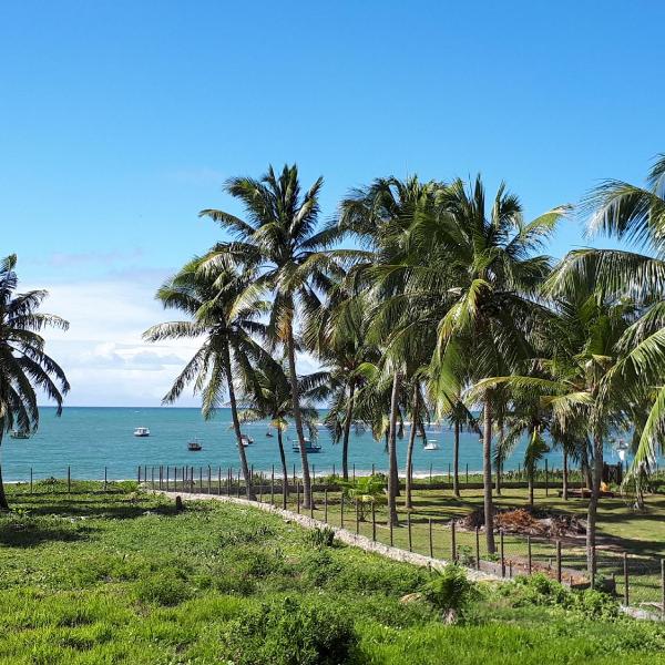 Vila das Flores ( vilage) - Foto 5