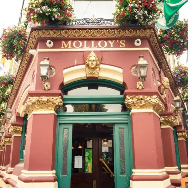 Molloys Apartments, hotel v destinaci Dublin