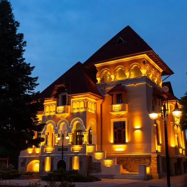 Casa Danielescu, hotel u gradu Arcani