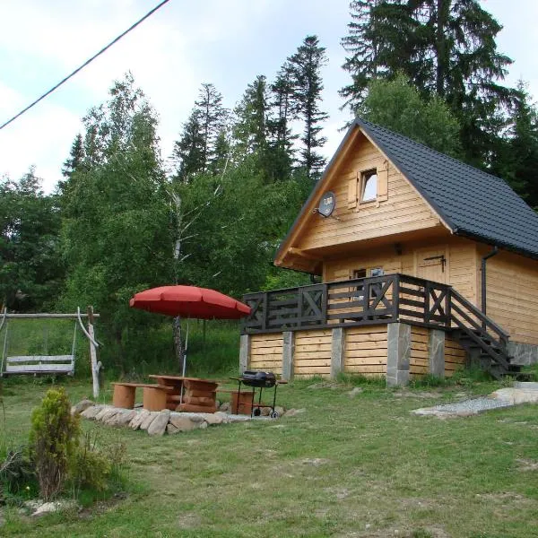 Villa Róża, hotel in Kamesznica