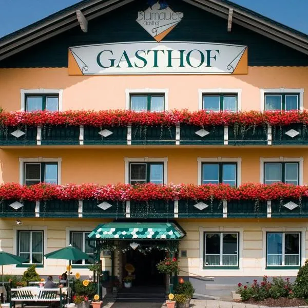 Hotel Blumauer, hotel v destinácii Rainbach im Mühlkreis
