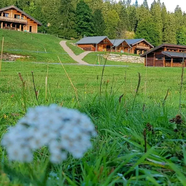 Chez Liadet, hotel em Foncine-le-Haut