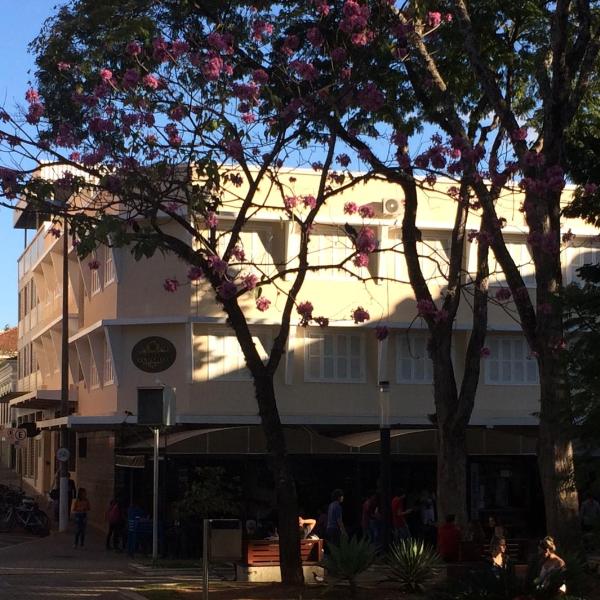 Hotel Centenario Itajuba - Foto 5