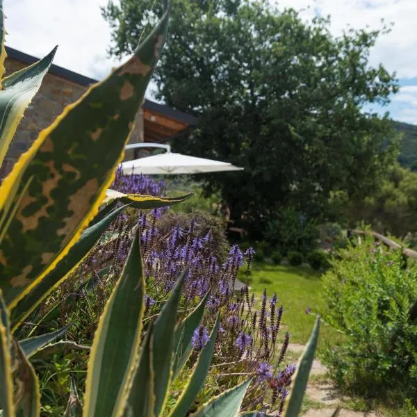 Casa brillocco Castellabate, hotel v destinácii Montecorice