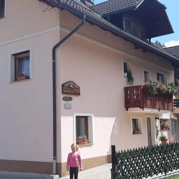 apartma Albina, hotel di Kranjska Gora