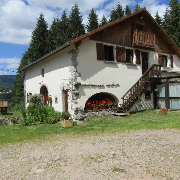 La Boissellerie, hotel v destinaci Saulxures-sur-Moselotte