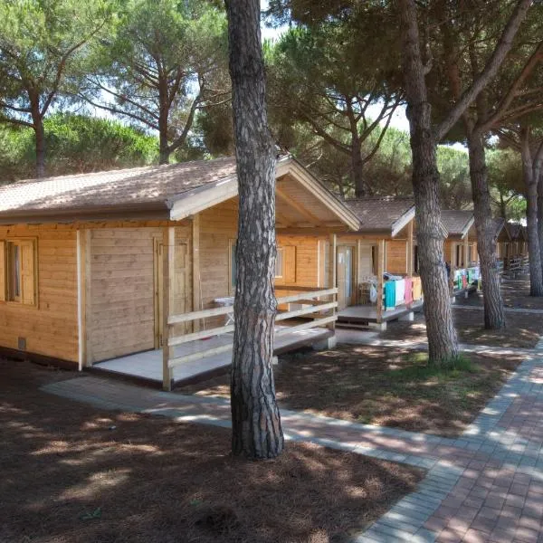 Camping Village Africa, hotel u gradu Albinija