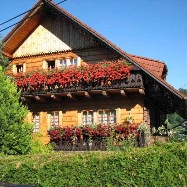 Willa Asia, hotel u gradu 'Visla'